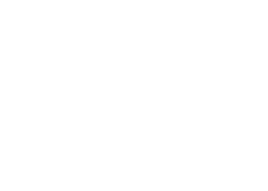 Alerion Advisors