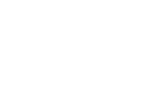 Pivot Point Consulting